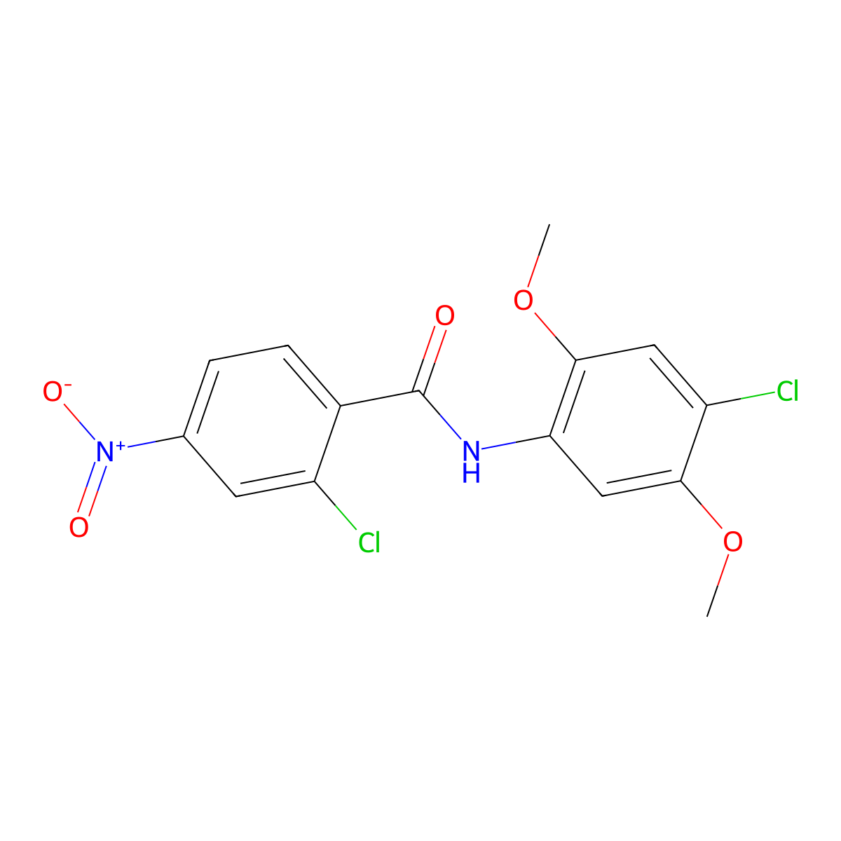 2-chloro-N-(4-chloro-2,5-dimethoxyphenyl)-4-nitrobenzamide molecular structure, CAS 303972-19-2