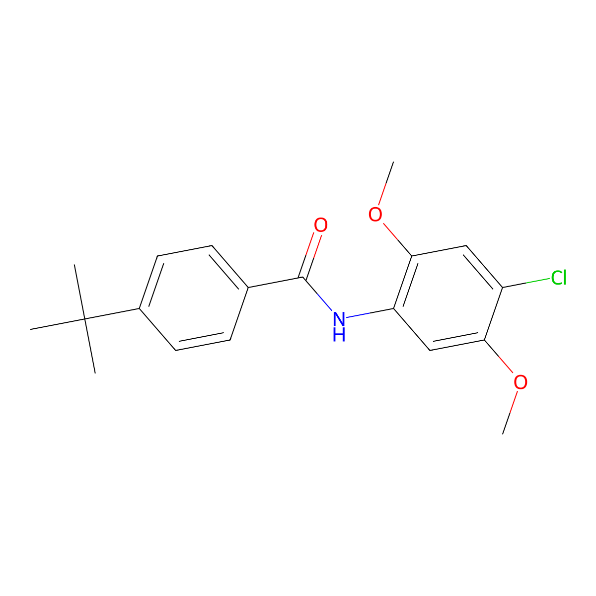 4-tert-butyl-N-(4-chloro-2,5-dimethoxyphenyl)benzamide molecular structure, CAS 303990-45-6