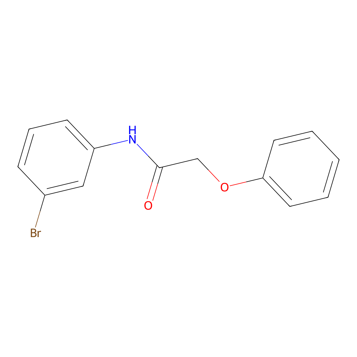 N-(3-bromophenyl)-2-phenoxyacetamide molecular structure, CAS 304672-80-8