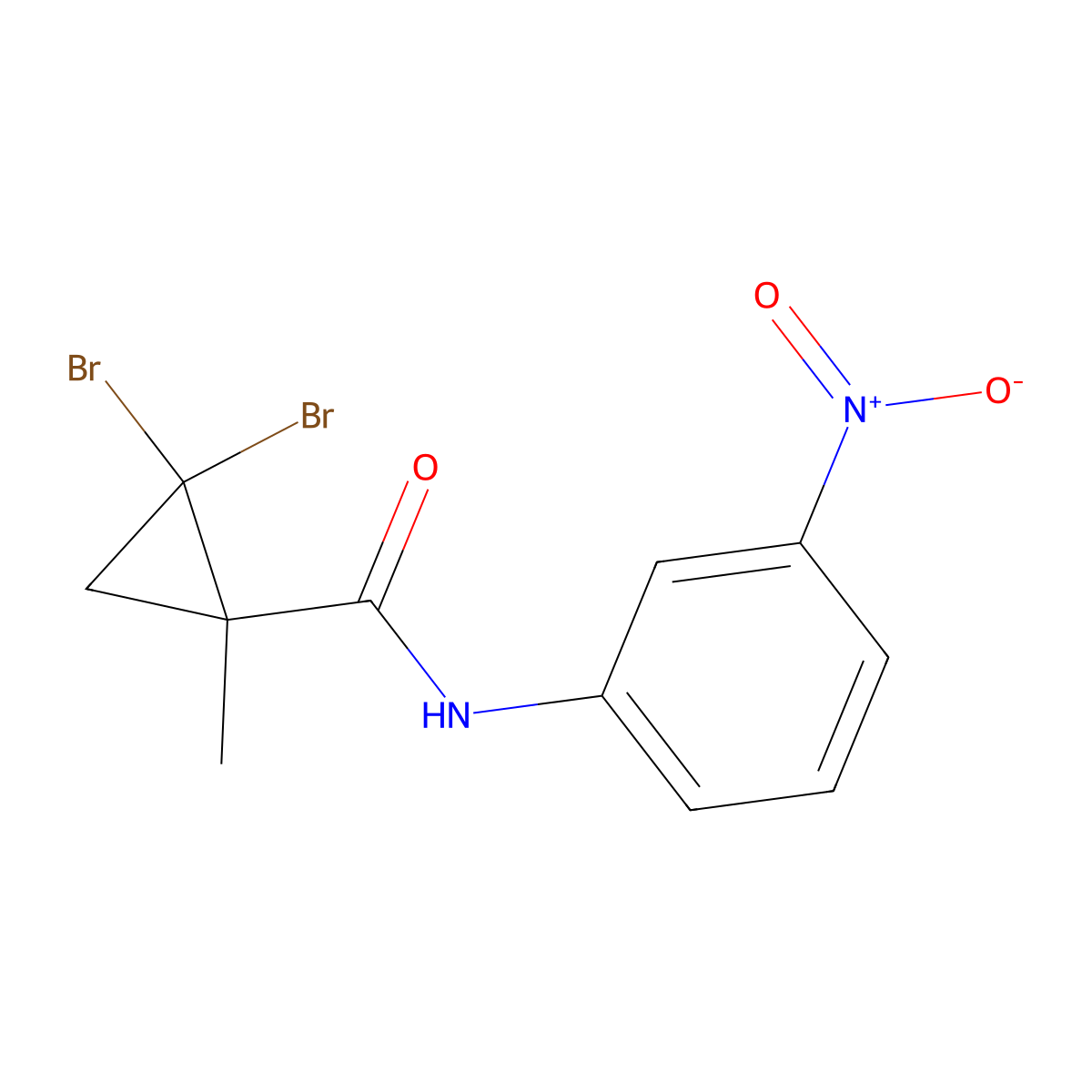2,2-dibromo-1-methyl-N-(3-nitrophenyl)cyclopropanecarboxamide molecular structure, CAS 304878-43-1