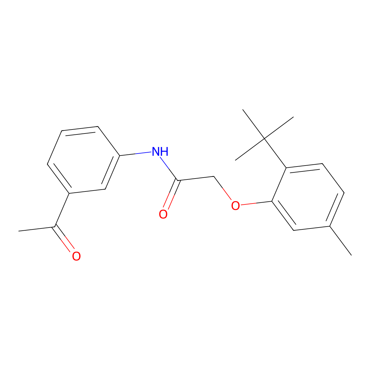 N-(3-acetylphenyl)-2-(2-tert-butyl-5-methylphenoxy)acetamide molecular structure, CAS 304891-09-6