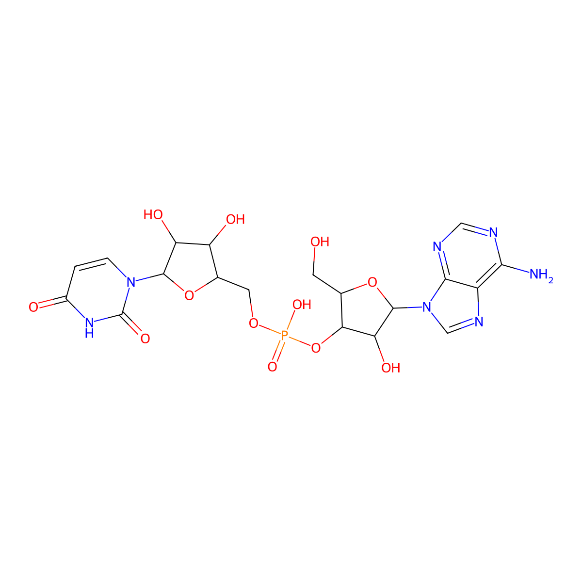 Adenylyl-(3'-5')-uridine molecular structure, CAS 3051-84-1