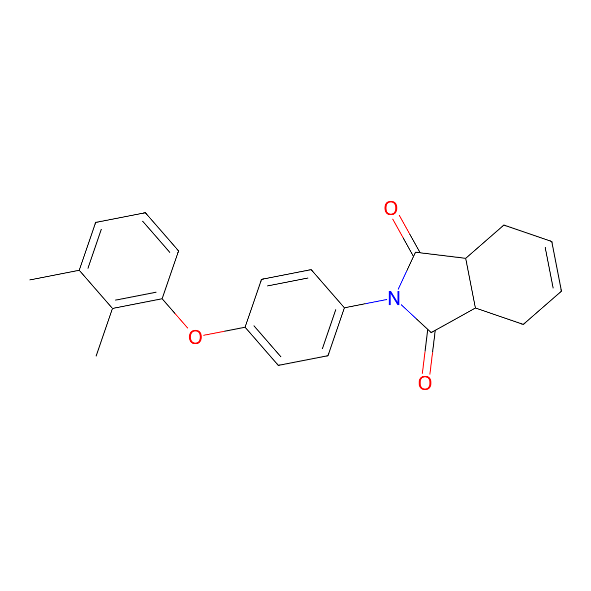 2-[4-(2,3-Dimethylphenoxy)phenyl]-3a,4,7,7a-tetrahydroisoindole-1,3-dione molecular structure, CAS 305349-64-8