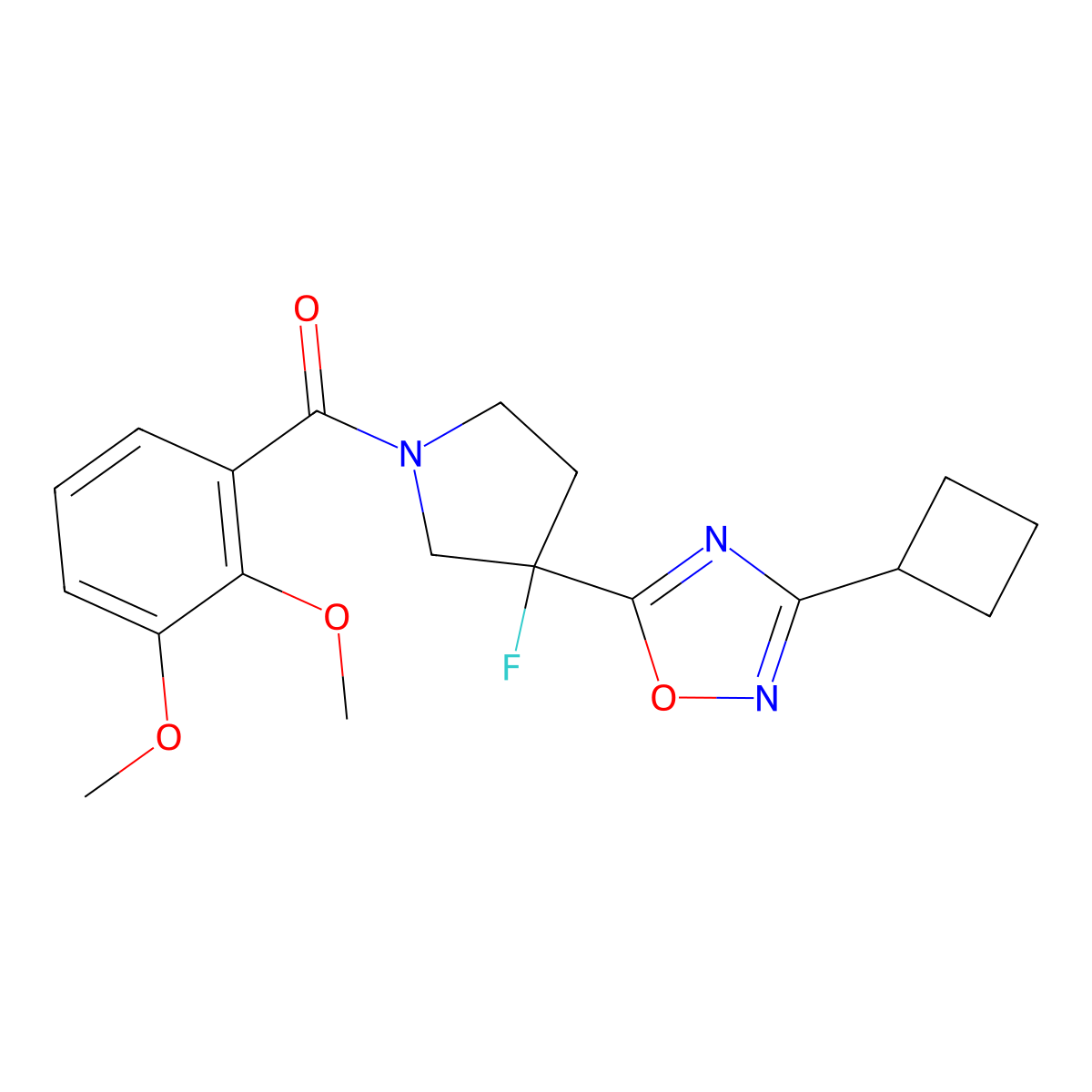 3-Cyclobutyl-5-[1-(2,3-dimethoxybenzoyl)-3-fluoropyrrolidin-3-yl]-1,2,4-oxadiazole molecular structure, CAS 3054408-10-2