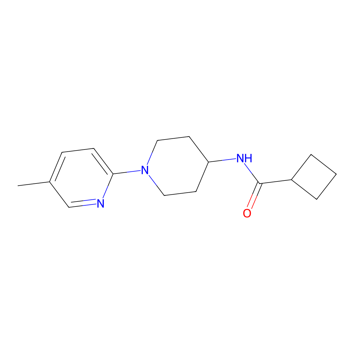 N-[1-(5-methylpyridin-2-yl)piperidin-4-yl]cyclobutanecarboxamide molecular structure, CAS 3054409-94-5