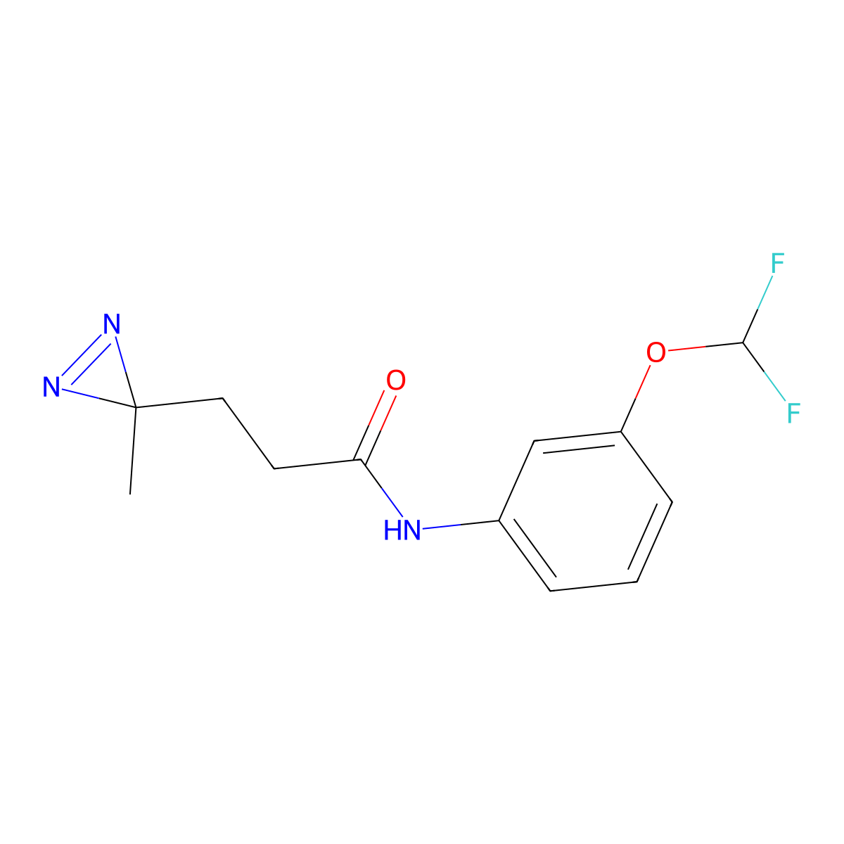 N-[3-(difluoromethoxy)phenyl]-3-(3-methyl-3H-diazirin-3-yl)propanamide molecular structure, CAS 3054444-80-0