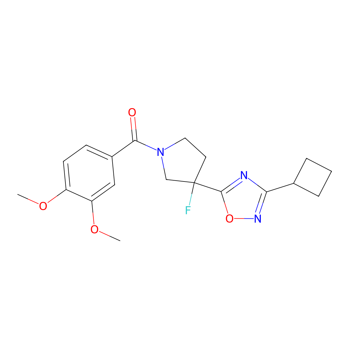 3-Cyclobutyl-5-[1-(3,4-dimethoxybenzoyl)-3-fluoropyrrolidin-3-yl]-1,2,4-oxadiazole molecular structure, CAS 3054535-77-9