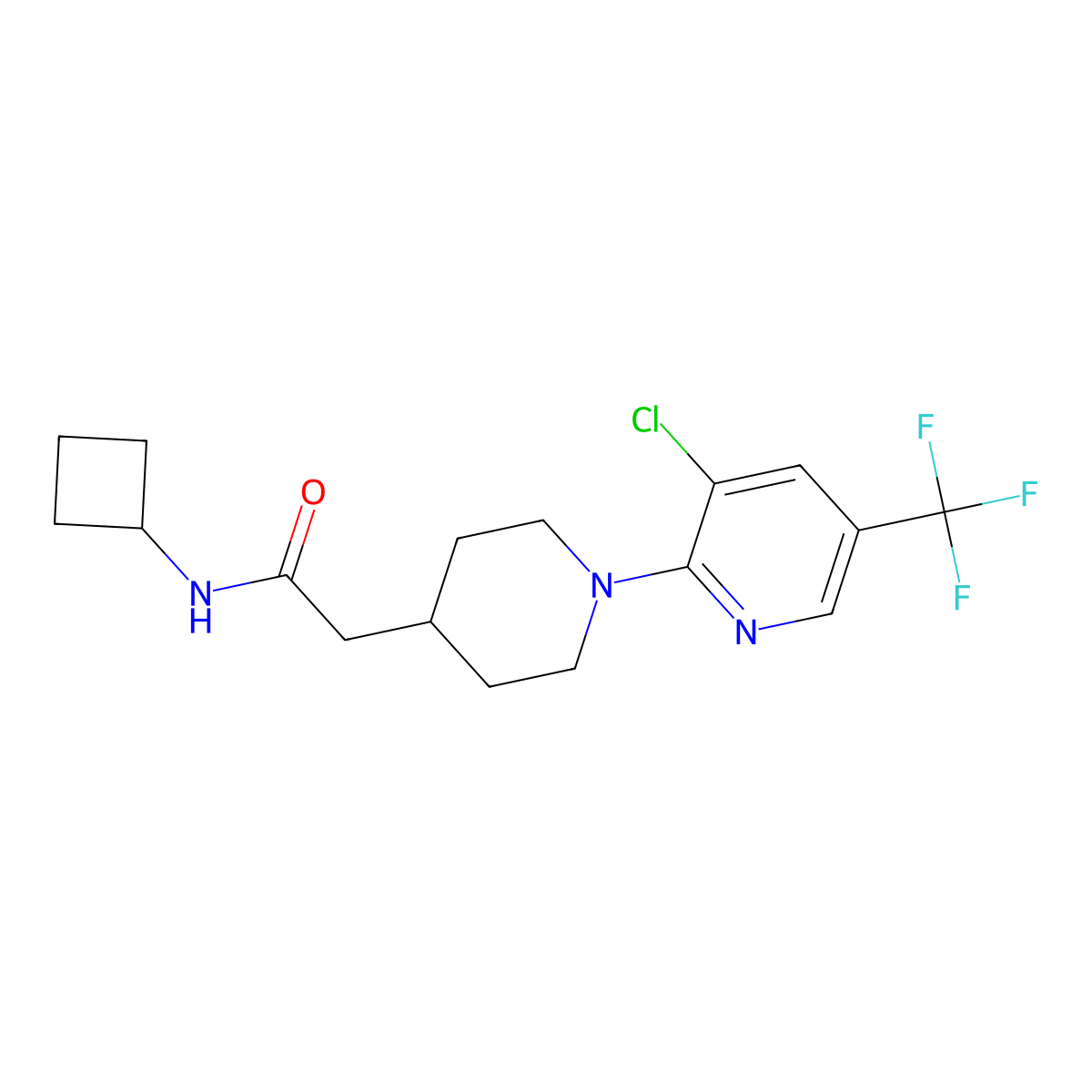 2-{1-[3-chloro-5-(trifluoromethyl)pyridin-2-yl]piperidin-4-yl}-N-cyclobutylacetamide molecular structure, CAS 3054537-45-7