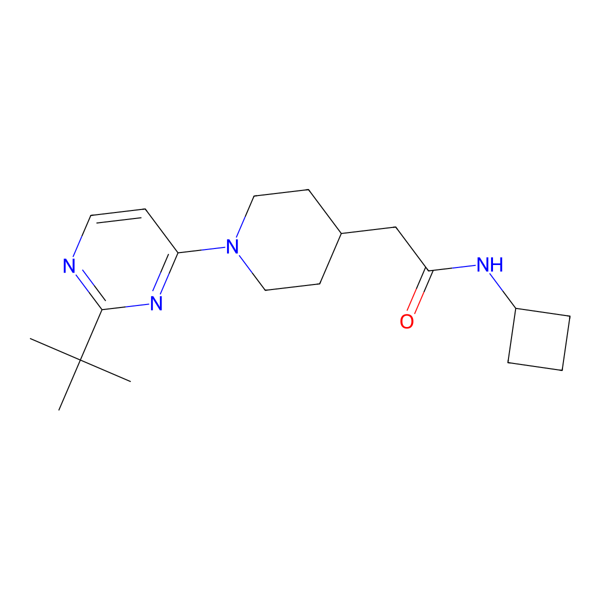 2-[1-(2-tert-butylpyrimidin-4-yl)piperidin-4-yl]-N-cyclobutylacetamide molecular structure, CAS 3054538-21-2