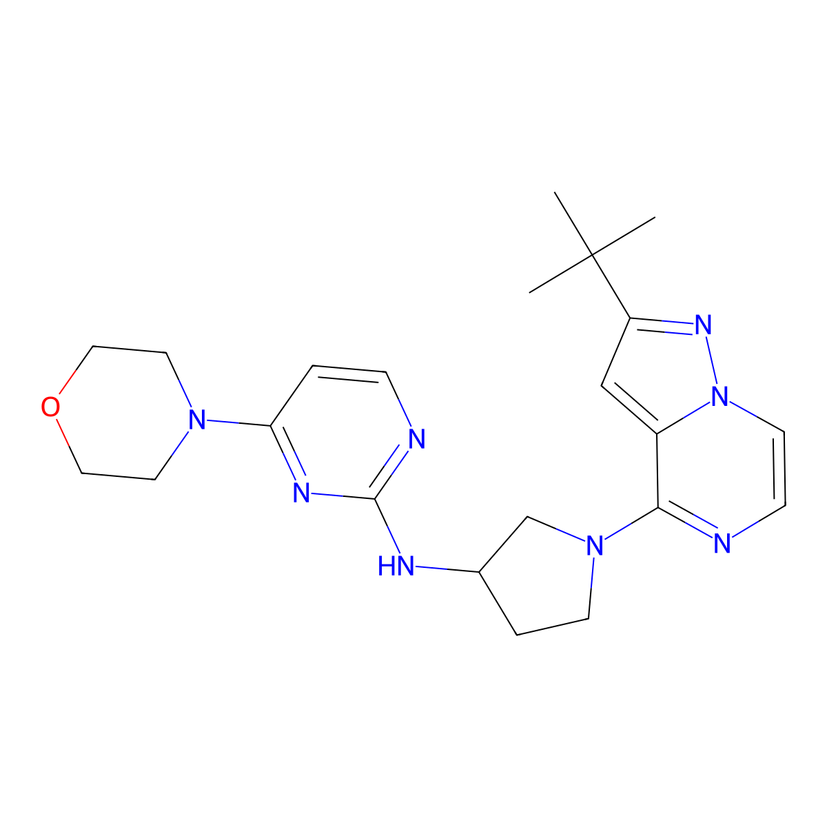 N-(1-{2-tert-butylpyrazolo[1,5-a]pyrazin-4-yl}pyrrolidin-3-yl)-4-(morpholin-4-yl)pyrimidin-2-amine molecular structure, CAS 3054545-50-2