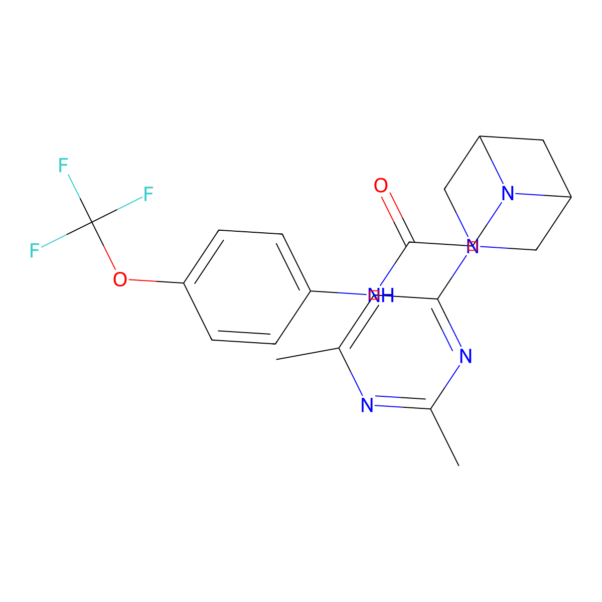 2-[3-(2,6-dimethylpyrimidin-4-yl)-3,6-diazabicyclo[3.1.1]heptan-6-yl]-N-[4-(trifluoromethoxy)phenyl]acetamide molecular structure, CAS 3054548-87-4