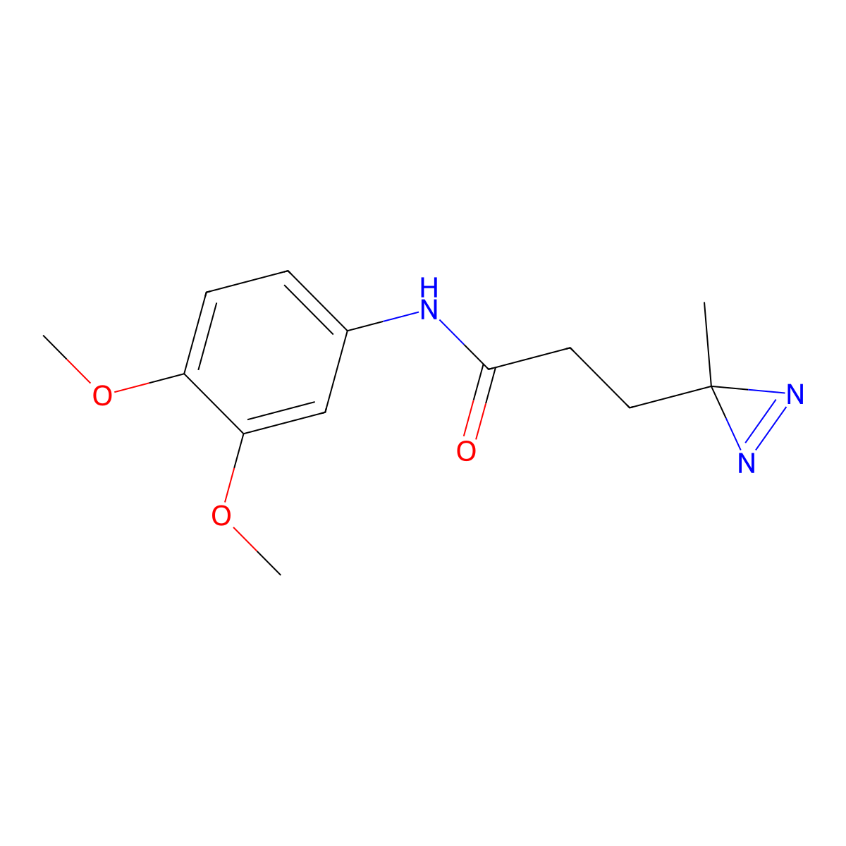 N-(3,4-dimethoxyphenyl)-3-(3-methyl-3H-diazirin-3-yl)propanamide molecular structure, CAS 3054550-05-6
