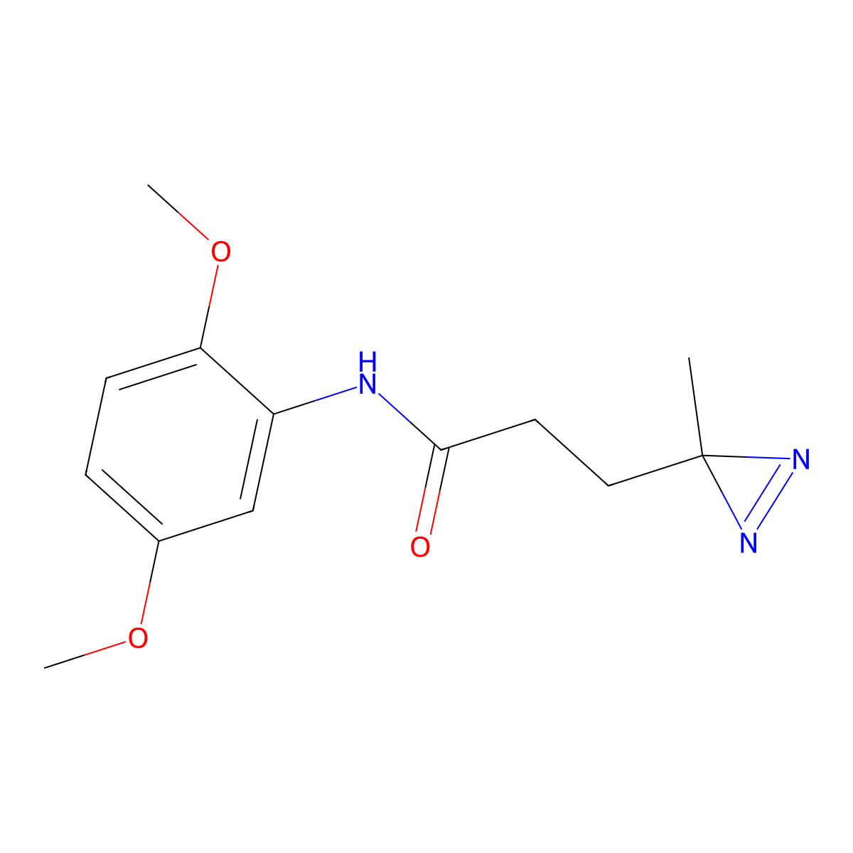 N-(2,5-dimethoxyphenyl)-3-(3-methyl-3H-diazirin-3-yl)propanamide molecular structure, CAS 3054559-32-6