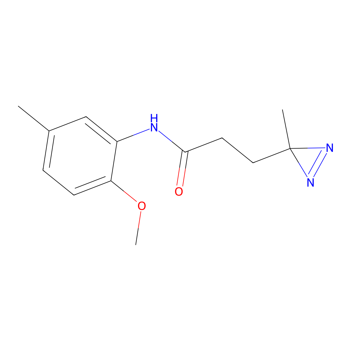 N-(2-methoxy-5-methylphenyl)-3-(3-methyl-3H-diazirin-3-yl)propanamide molecular structure, CAS 3054563-32-2