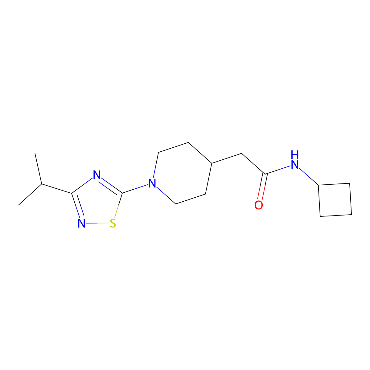 N-cyclobutyl-2-{1-[3-(propan-2-yl)-1,2,4-thiadiazol-5-yl]piperidin-4-yl}acetamide molecular structure, CAS 3054583-17-1