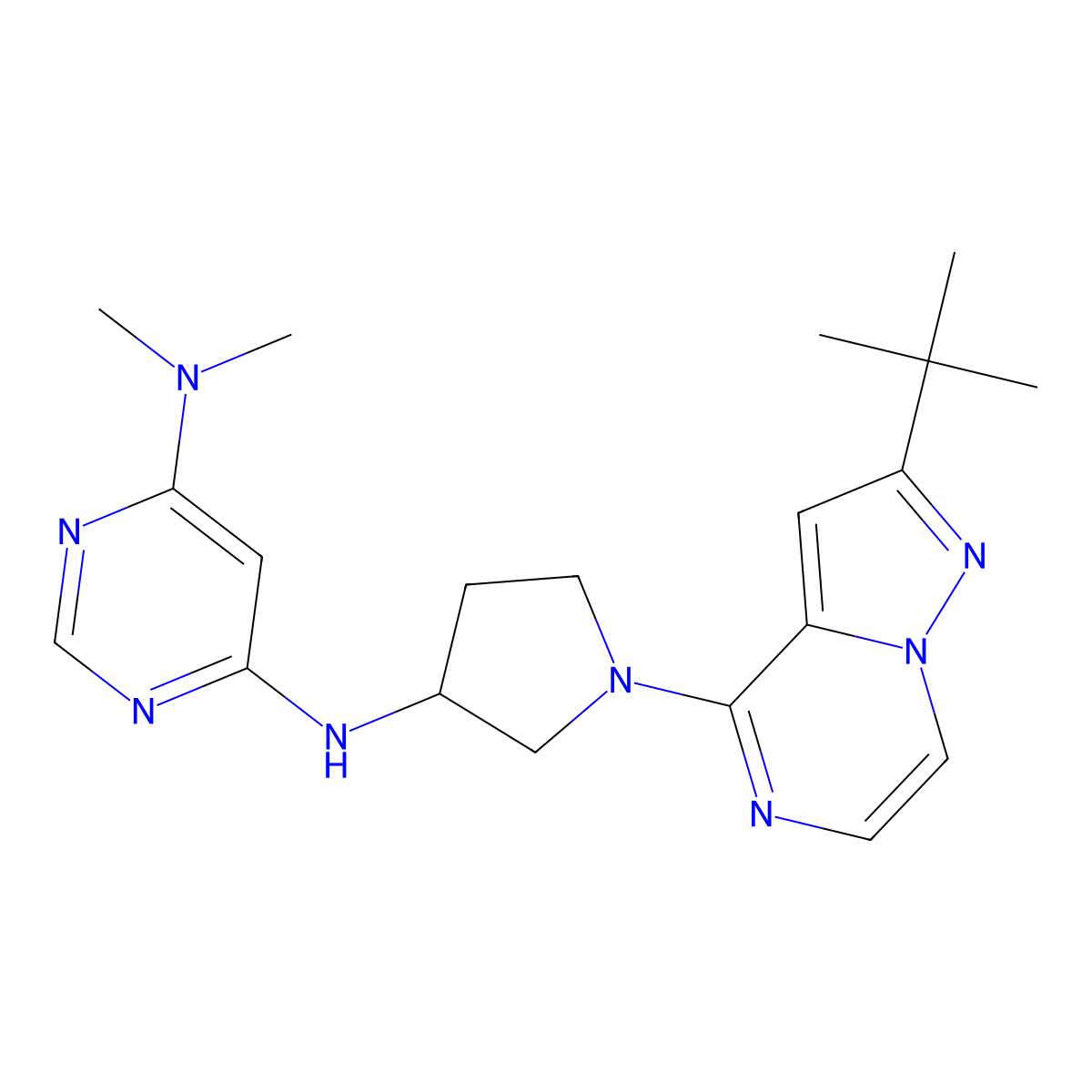 N6-(1-{2-tert-butylpyrazolo[1,5-a]pyrazin-4-yl}pyrrolidin-3-yl)-N4,N4-dimethylpyrimidine-4,6-diamine molecular structure, CAS 3054585-72-4