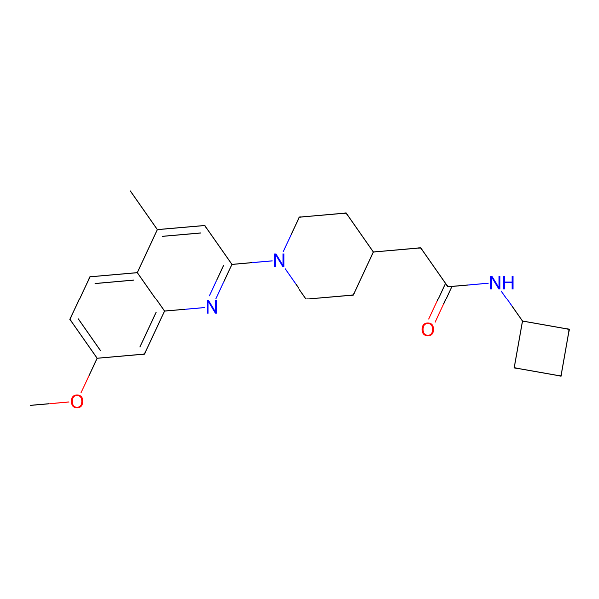 N-cyclobutyl-2-[1-(7-methoxy-4-methylquinolin-2-yl)piperidin-4-yl]acetamide molecular structure, CAS 3054587-33-3