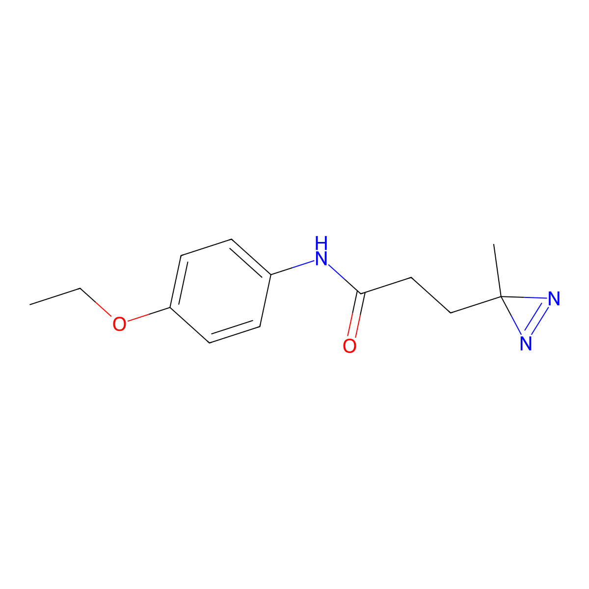 N-(4-ethoxyphenyl)-3-(3-methyl-3H-diazirin-3-yl)propanamide molecular structure, CAS 3054596-04-9