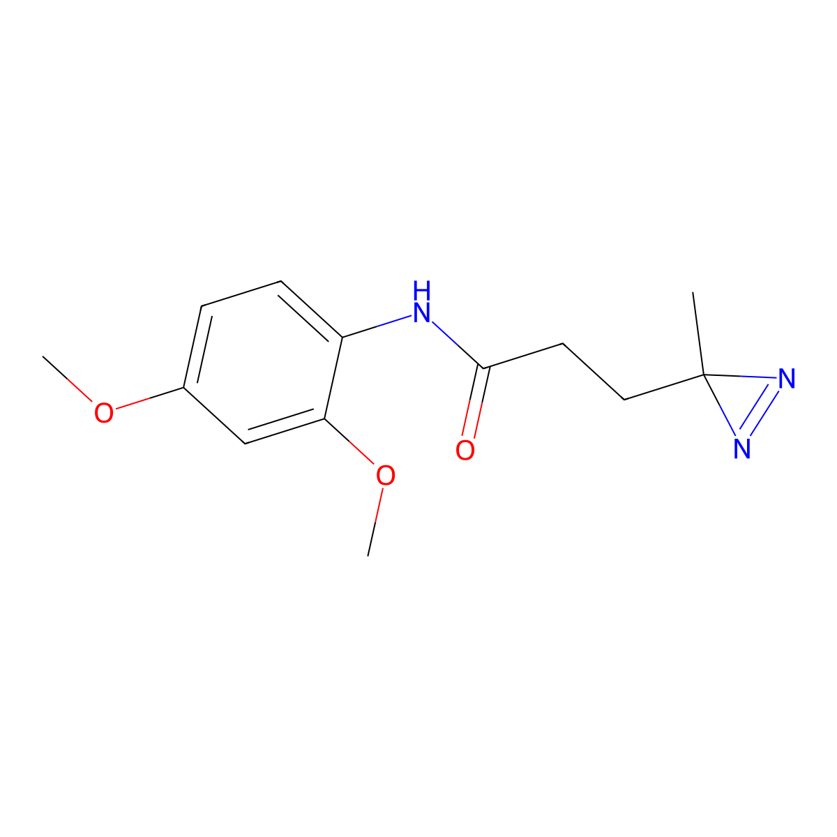 N-(2,4-dimethoxyphenyl)-3-(3-methyl-3H-diazirin-3-yl)propanamide molecular structure, CAS 3054614-25-1