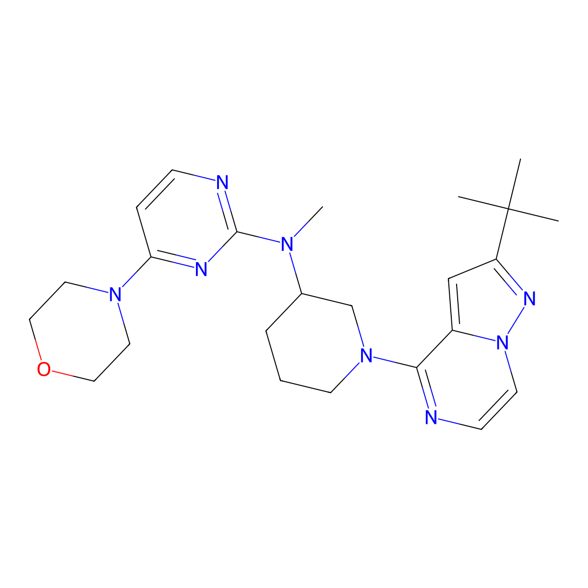 N-(1-{2-tert-butylpyrazolo[1,5-a]pyrazin-4-yl}piperidin-3-yl)-N-methyl-4-(morpholin-4-yl)pyrimidin-2-amine molecular structure, CAS 3054618-91-3