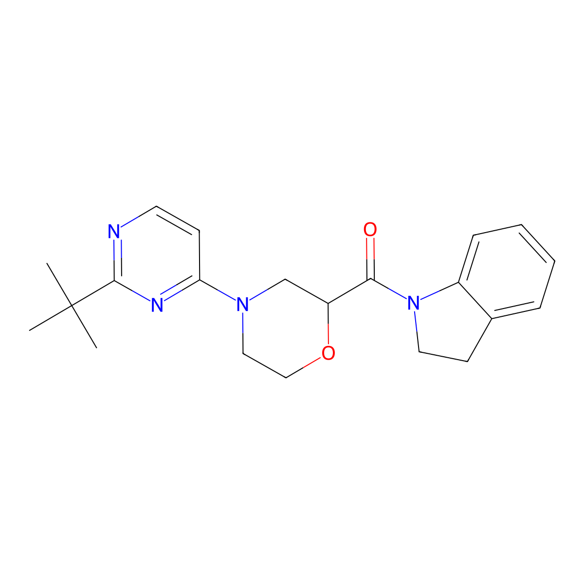 1-[4-(2-tert-butylpyrimidin-4-yl)morpholine-2-carbonyl]-2,3-dihydro-1H-indole molecular structure, CAS 3054636-81-3