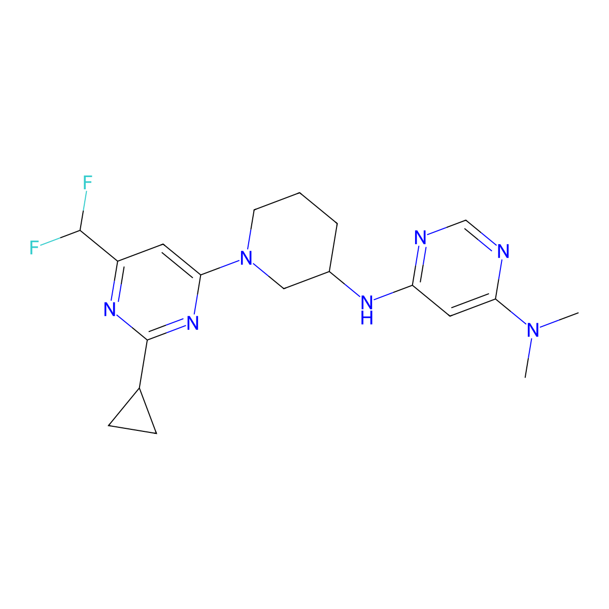 N6-{1-[2-cyclopropyl-6-(difluoromethyl)pyrimidin-4-yl]piperidin-3-yl}-N4,N4-dimethylpyrimidine-4,6-diamine molecular structure, CAS 3054636-90-4