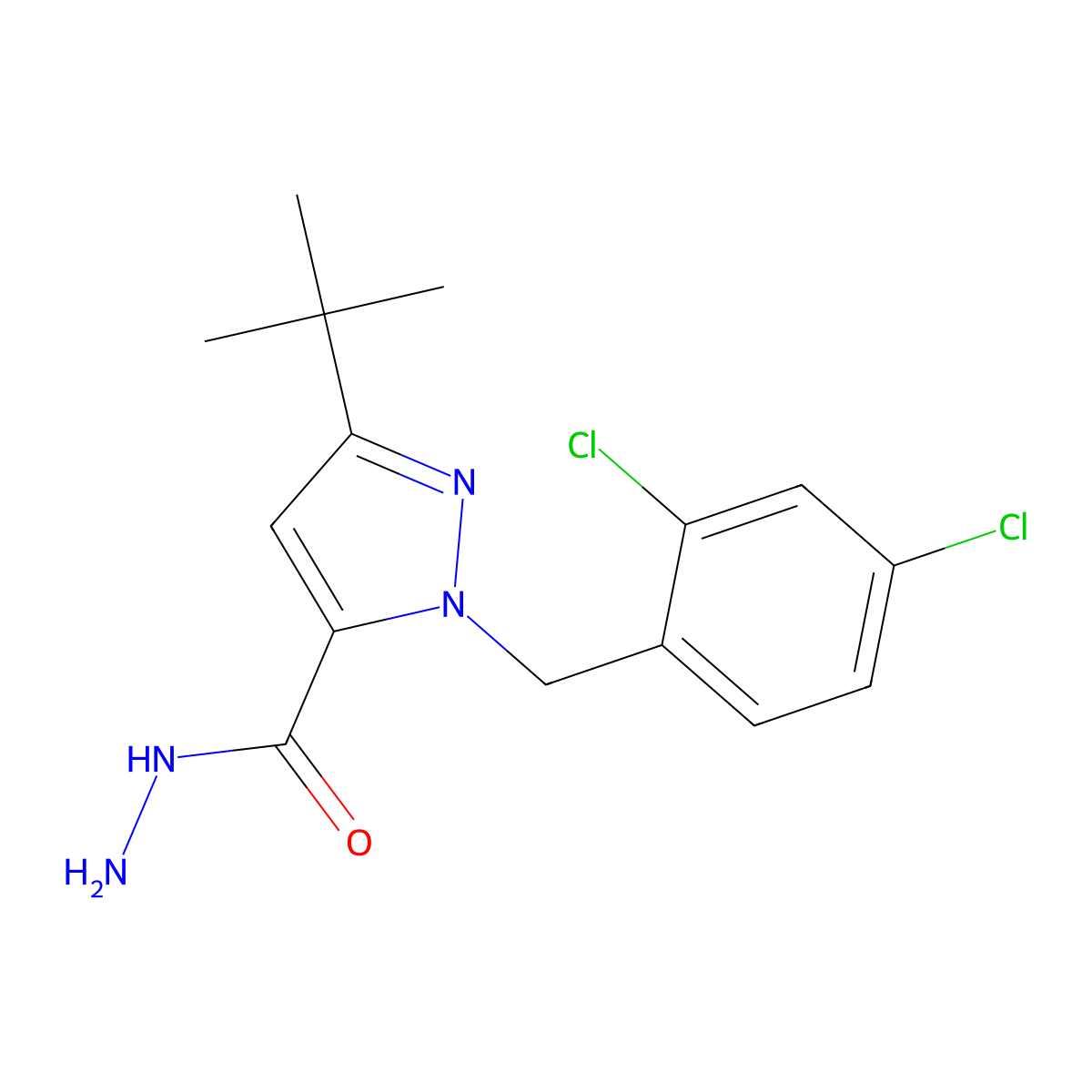 3-(tert-butyl)-1-(2,4-dichlorobenzyl)-1H-pyrazole-5-carbohydrazide molecular structure, CAS 306937-07-5