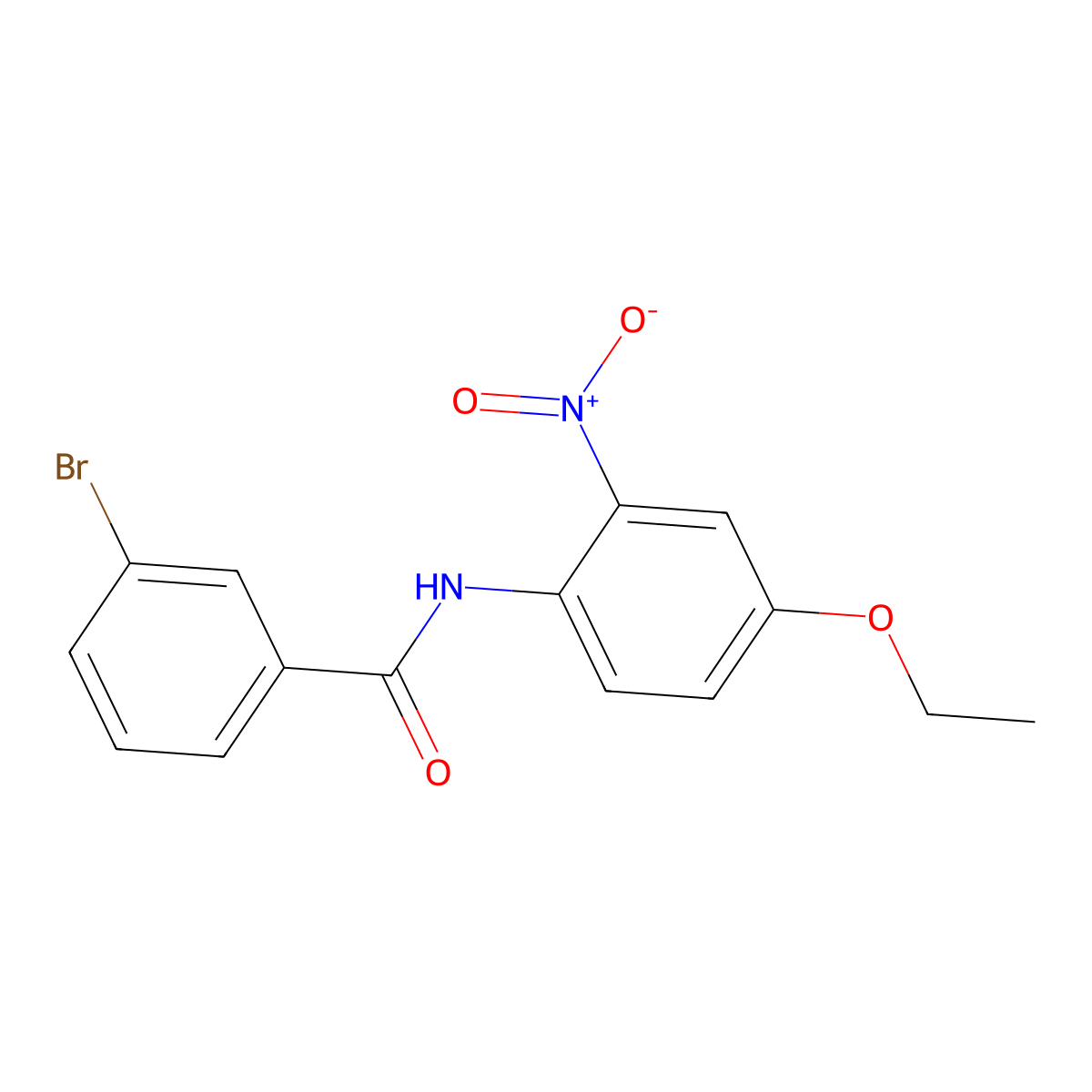 3-bromo-N-(4-ethoxy-2-nitrophenyl)benzamide molecular structure, CAS 307325-93-5
