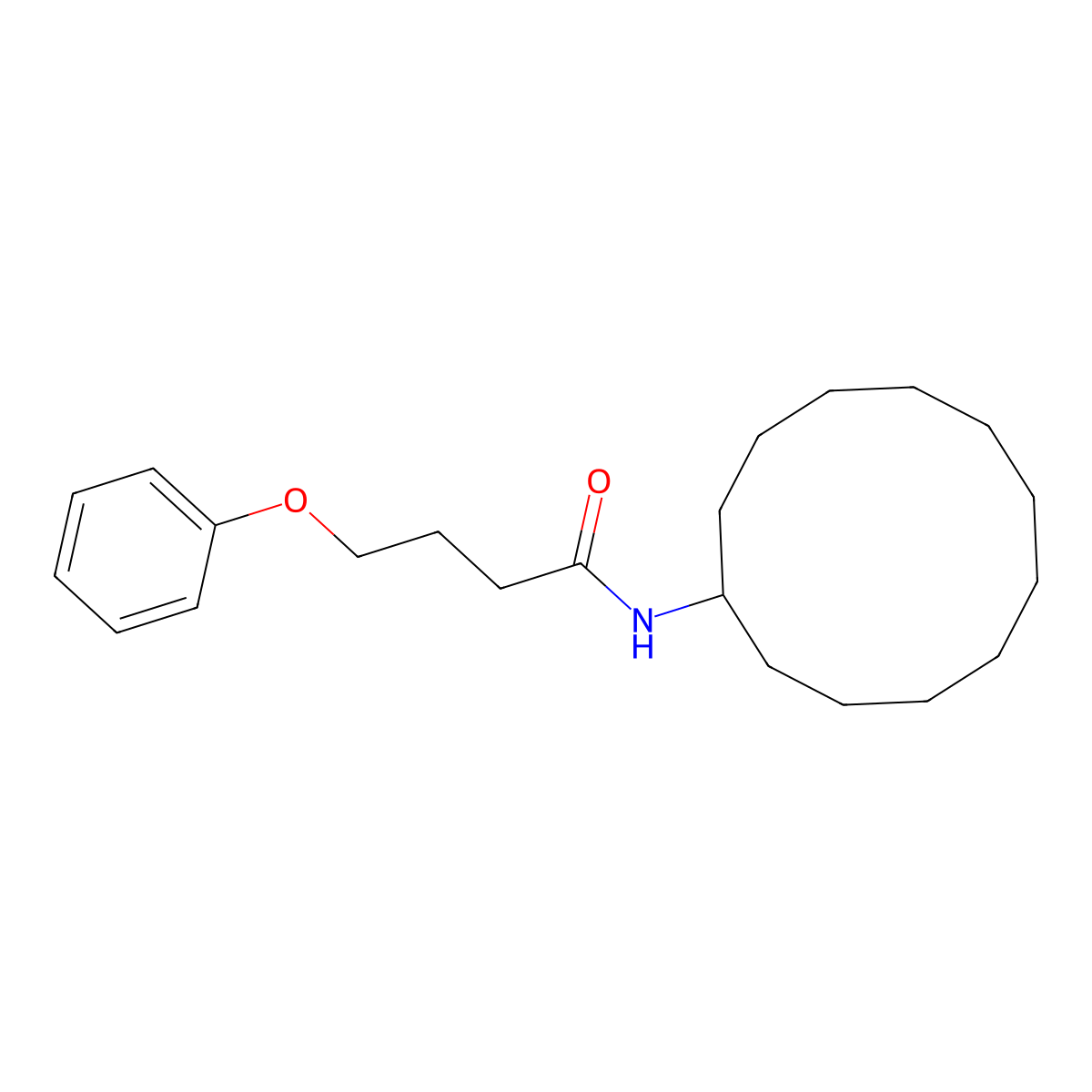 N-cyclododecyl-4-phenoxybutanamide molecular structure, CAS 307507-71-7