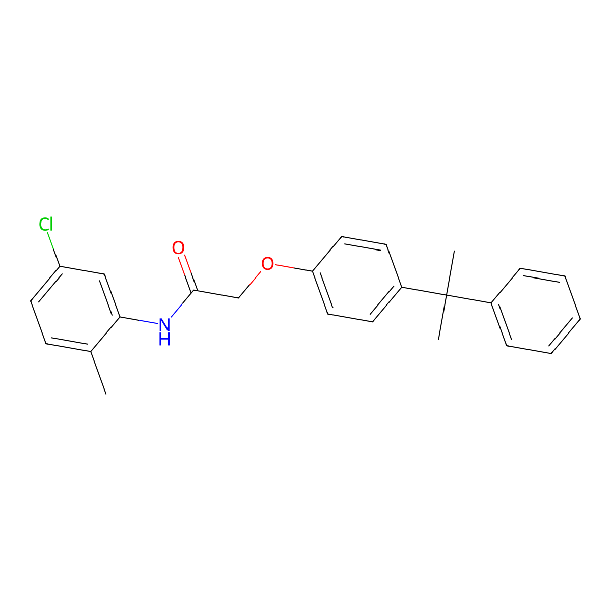 N-(5-chloro-2-methylphenyl)-2-[4-(2-phenylpropan-2-yl)phenoxy]acetamide molecular structure, CAS 307543-25-5