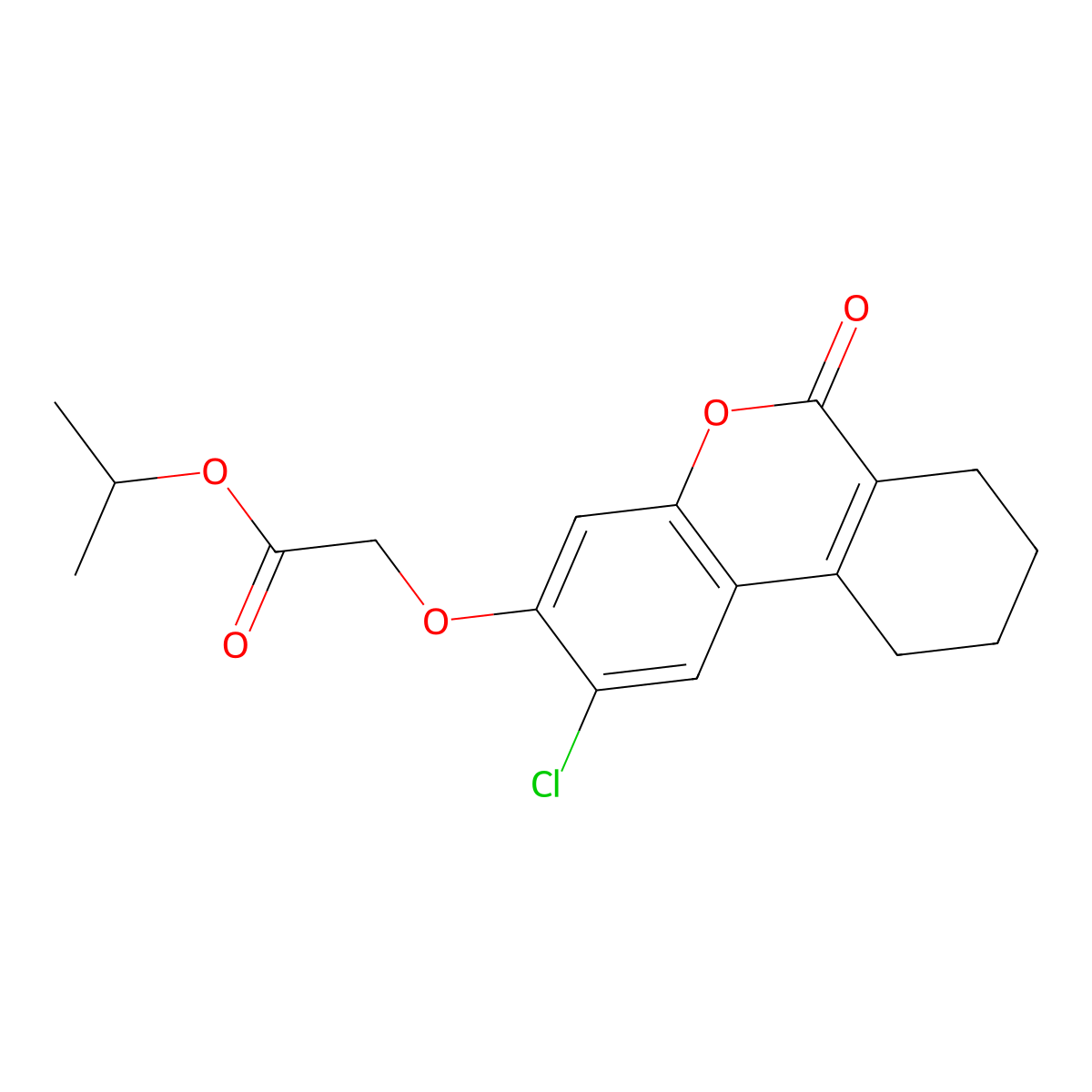 Propan-2-yl 2-[(2-chloro-6-oxo-7,8,9,10-tetrahydrobenzo[c]chromen-3-yl)oxy]acetate molecular structure, CAS 307550-23-8