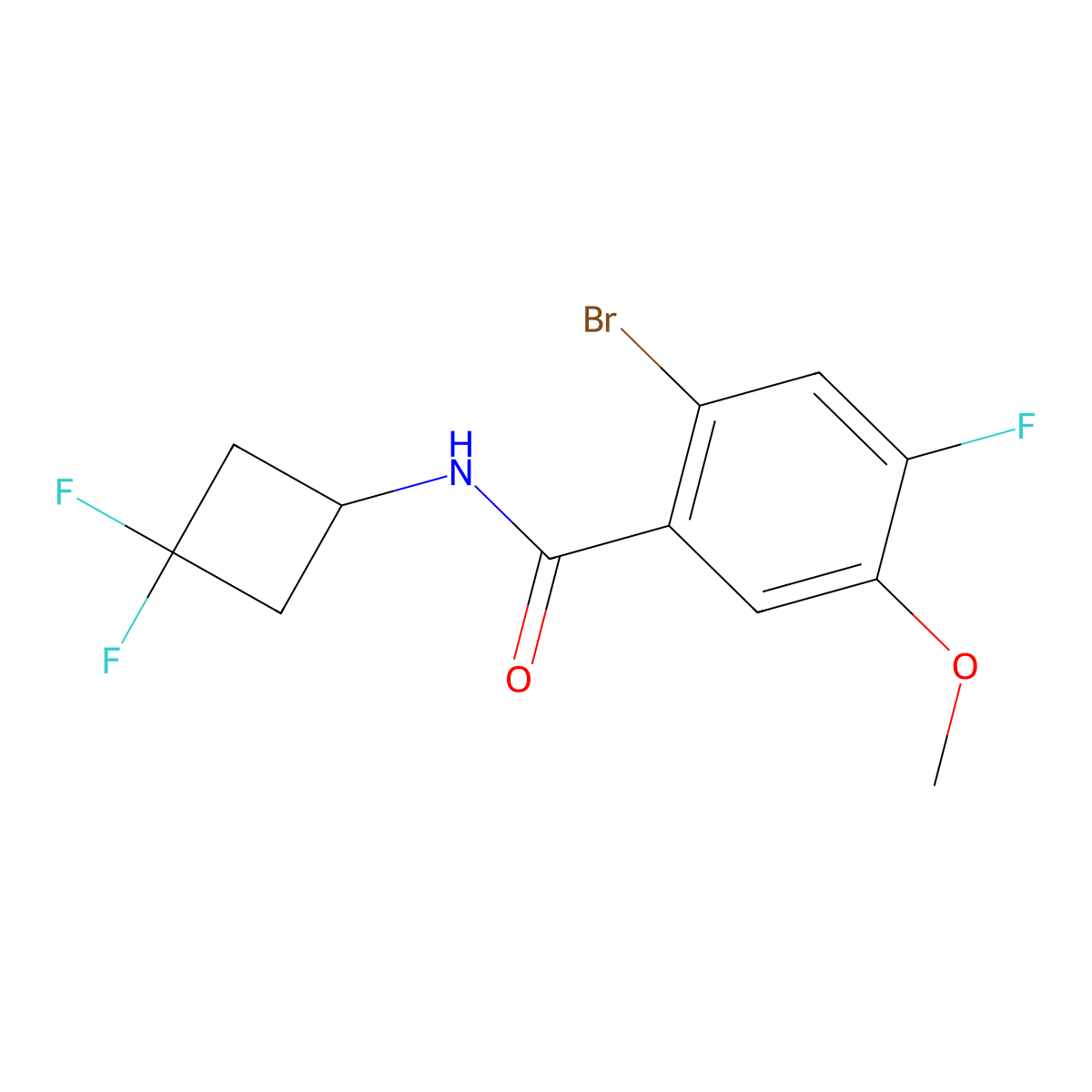 2-Bromo-N-(3,3-difluorocyclobutyl)-4-fluoro-5-methoxybenzamide molecular structure, CAS 3078575-20-6