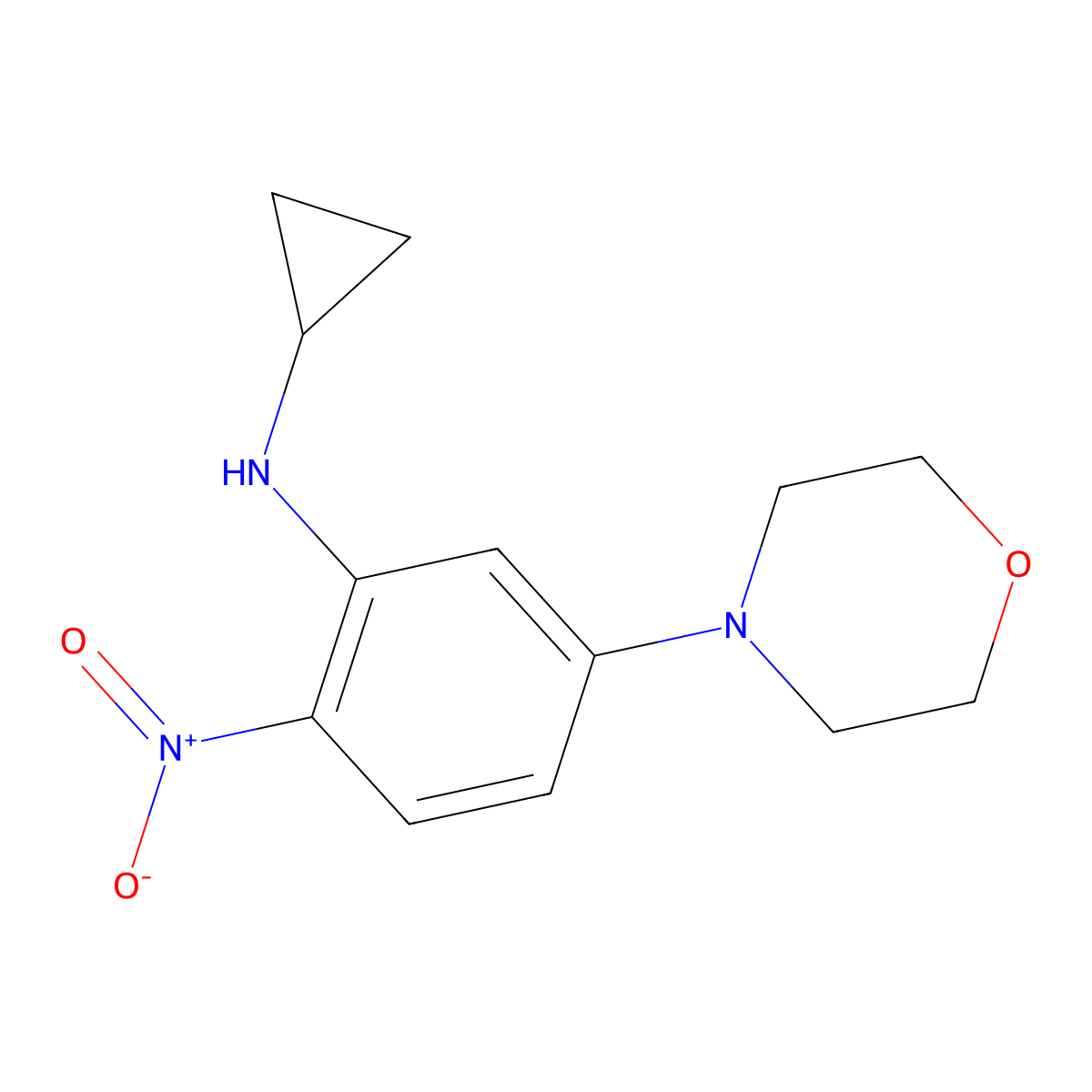 N-cyclopropyl-5-morpholin-4-yl-2-nitroaniline molecular structure, CAS 309922-70-1
