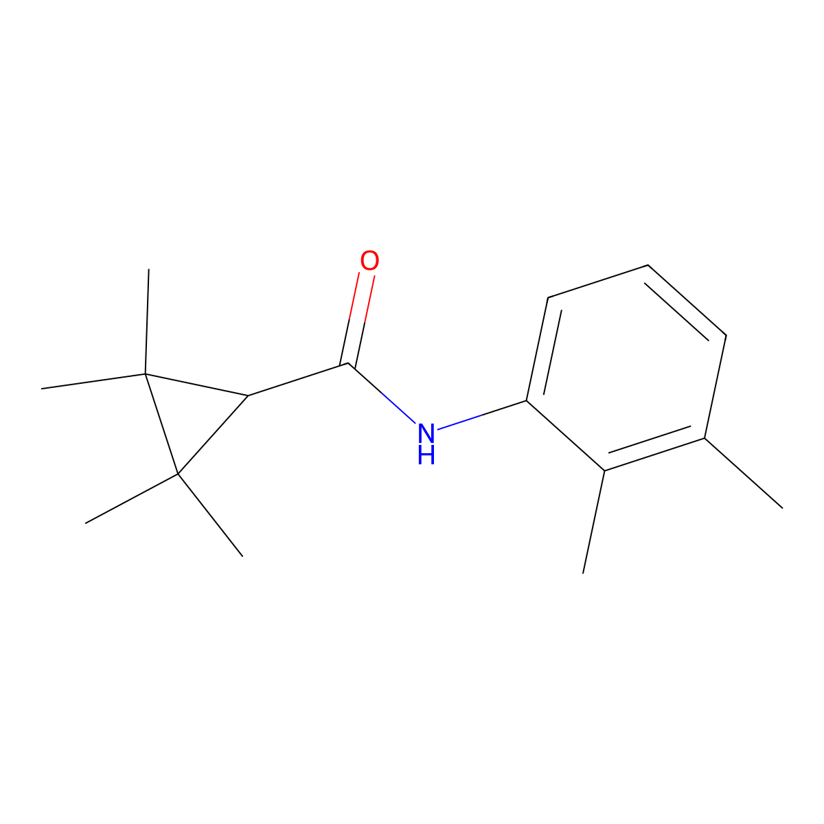 N-(2,3-dimethylphenyl)-2,2,3,3-tetramethylcyclopropane-1-carboxamide molecular structure, CAS 309939-27-3