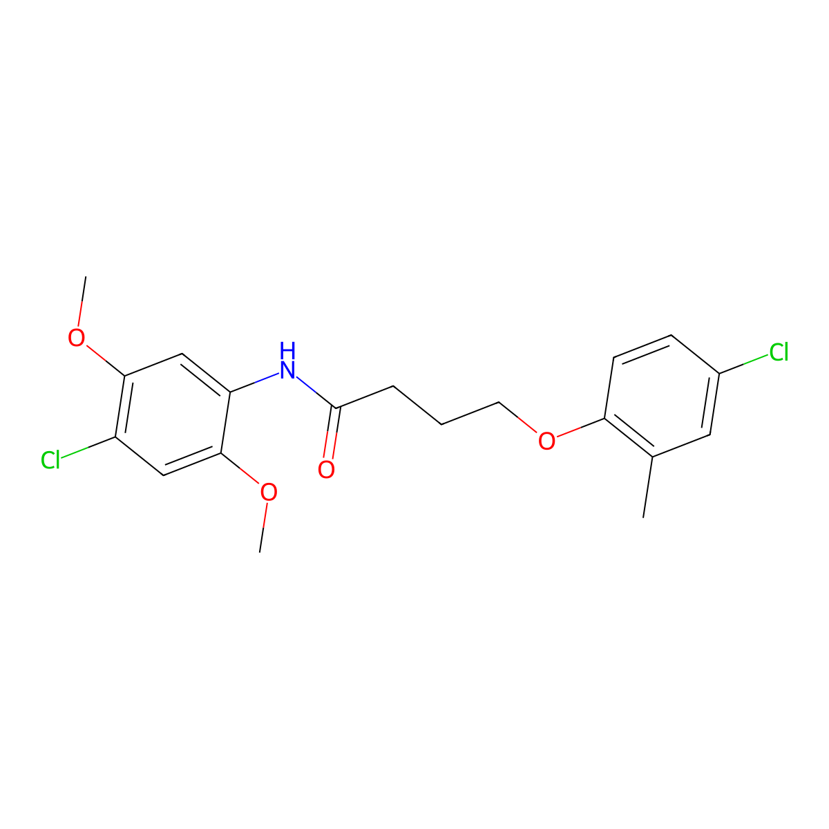 N-(4-chloro-2,5-dimethoxyphenyl)-4-(4-chloro-2-methylphenoxy)butanamide molecular structure, CAS 310453-06-6