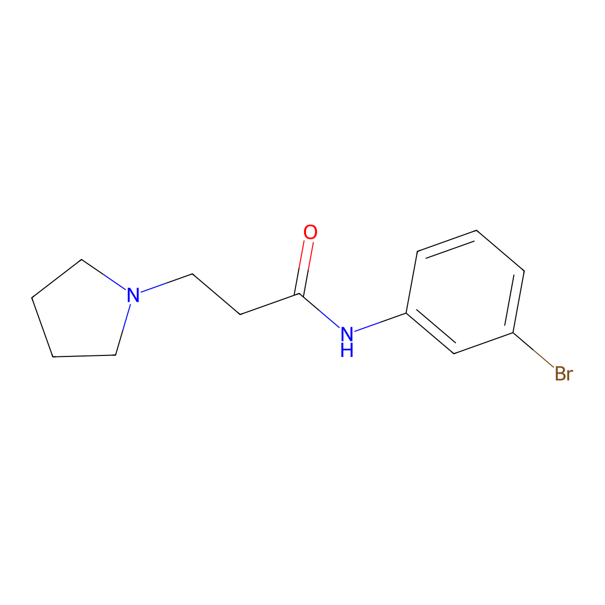 N-(3-bromophenyl)-3-pyrrolidin-1-ylpropanamide molecular structure, CAS 311797-50-9