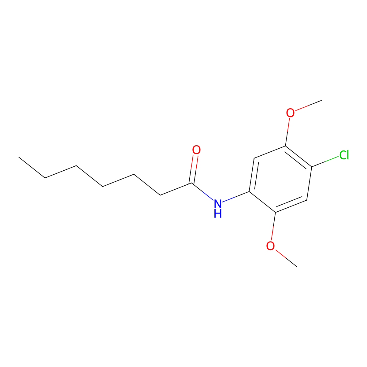 N-(4-chloro-2,5-dimethoxyphenyl)heptanamide molecular structure, CAS 312287-11-9