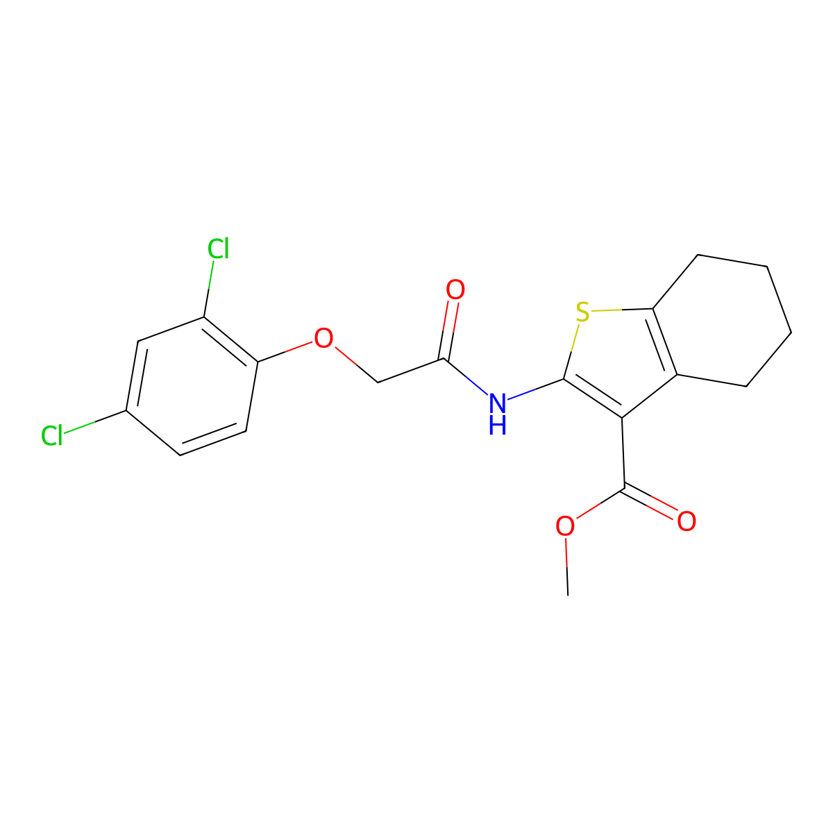 Methyl 2-{[(2,4-dichlorophenoxy)acetyl]amino}-4,5,6,7-tetrahydro-1-benzothiophene-3-carboxylate molecular structure, CAS 312704-26-0