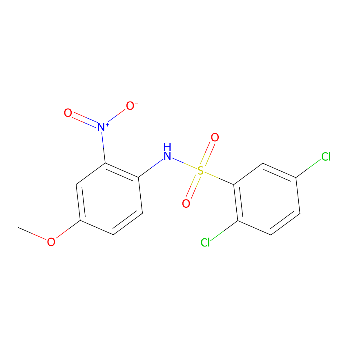 2,5-dichloro-N-(4-methoxy-2-nitrophenyl)benzenesulfonamide molecular structure, CAS 313067-83-3