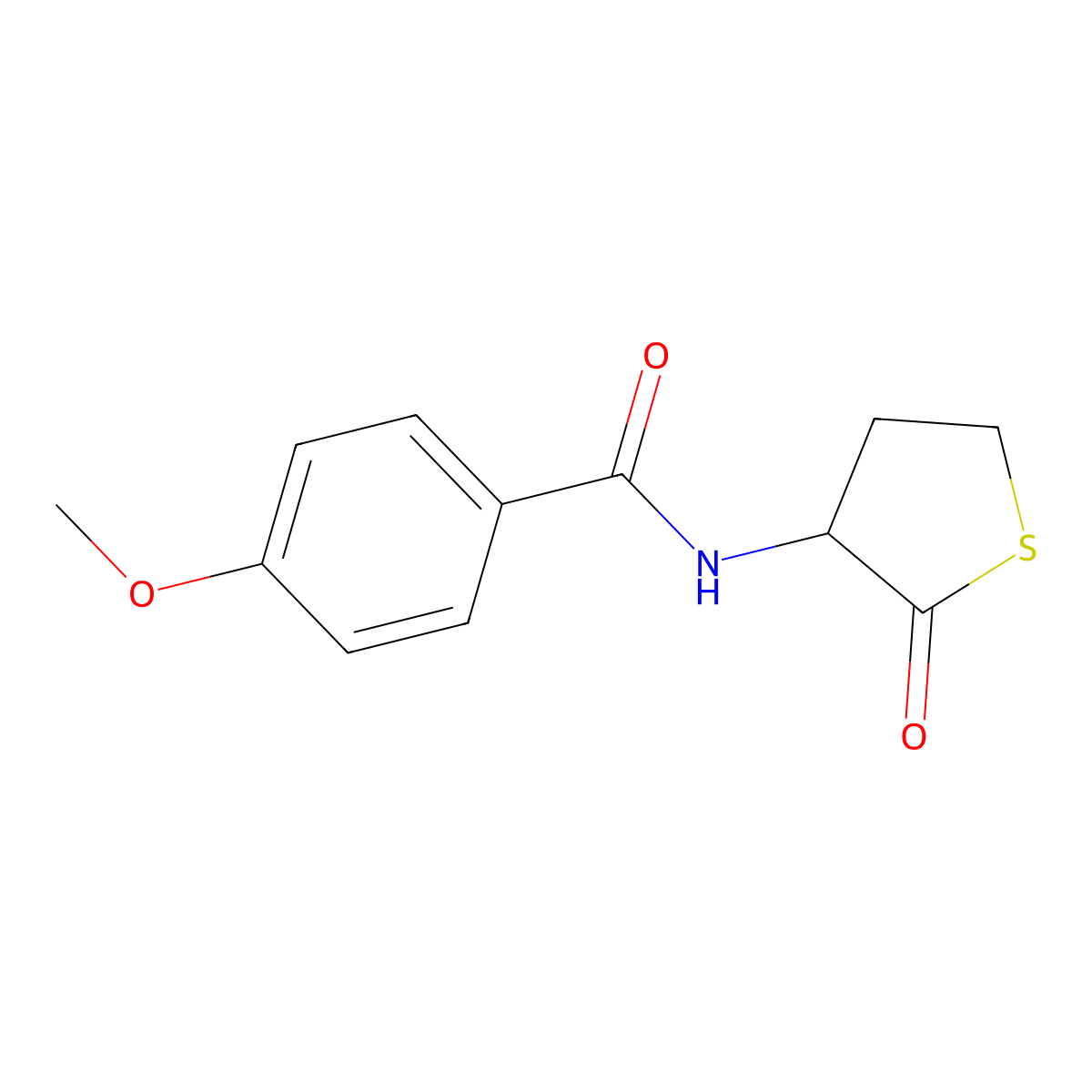 4-methoxy-N-(2-oxothiolan-3-yl)benzamide molecular structure, CAS 313343-49-6