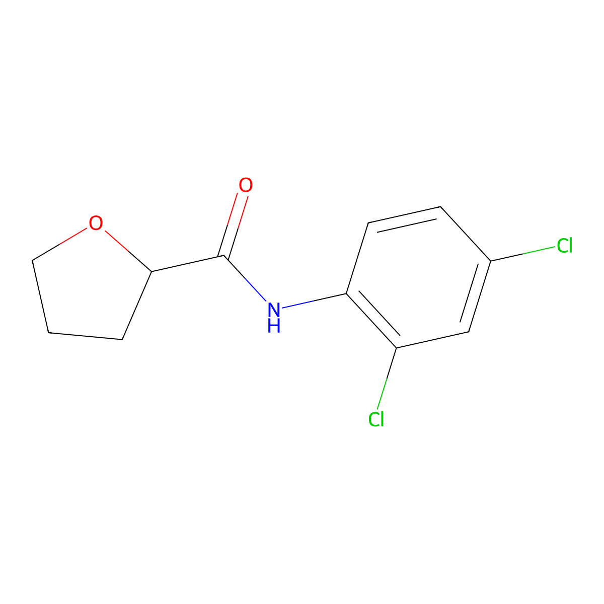 N-(2,4-dichlorophenyl)oxolane-2-carboxamide molecular structure, CAS 313385-82-9