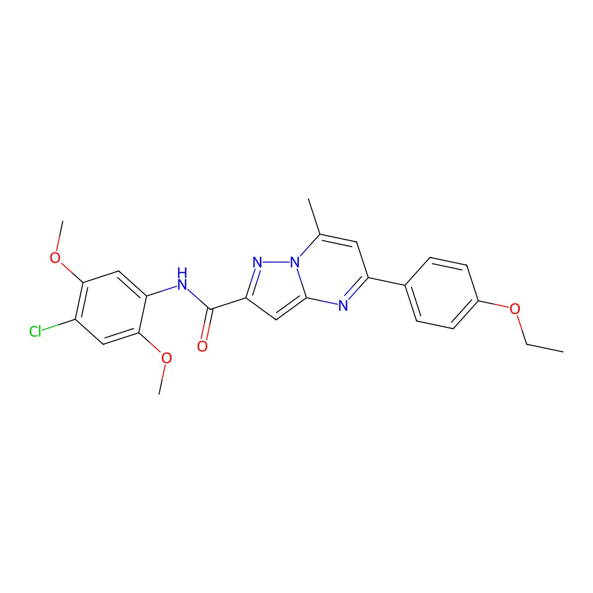 N-(4-chloro-2,5-dimethoxyphenyl)-5-(4-ethoxyphenyl)-7-methylpyrazolo[1,5-a]pyrimidine-2-carboxamide molecular structure, CAS 313387-75-6