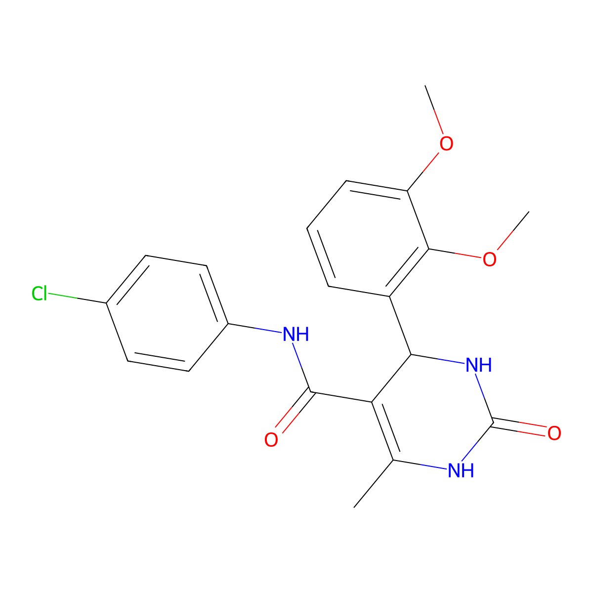 N-(4-chlorophenyl)-4-(2,3-dimethoxyphenyl)-6-methyl-2-oxo-1,2,3,4-tetrahydropyrimidine-5-carboxamide molecular structure, CAS 313398-08-2