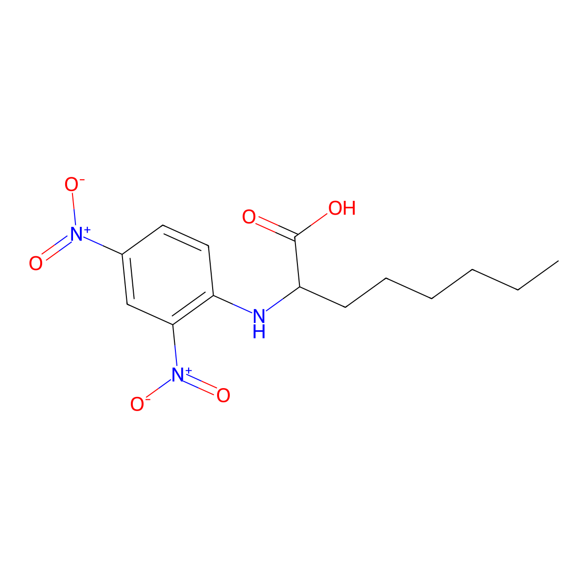 2-[(2,4-Dinitrophenyl)amino]octanoic acid molecular structure, CAS 31356-30-6