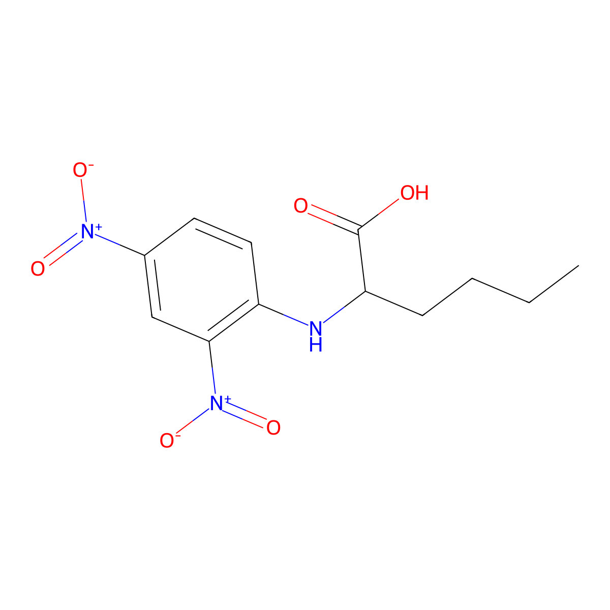 N-(2,4-Dinitrophenyl)-DL-norleucine molecular structure, CAS 31356-36-2