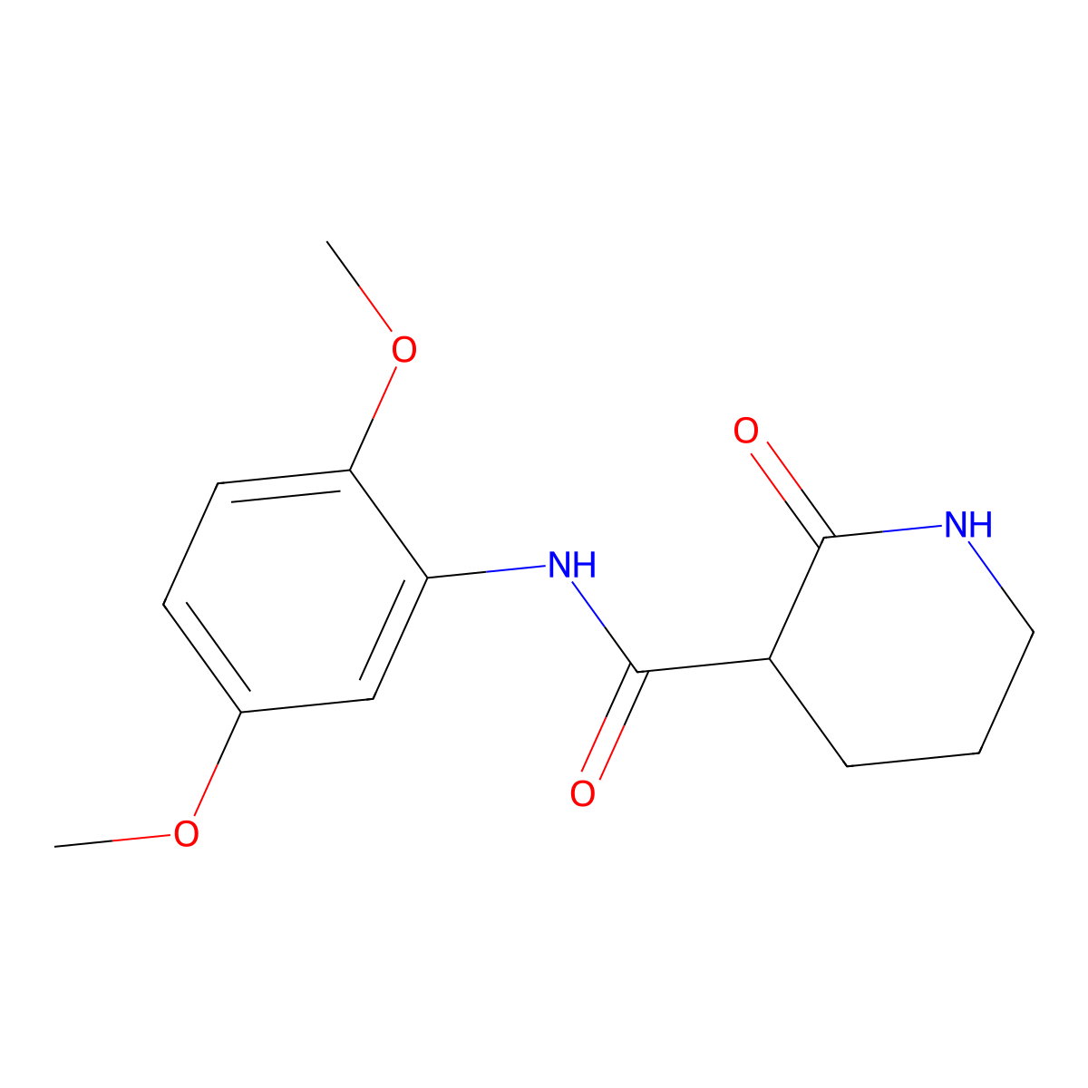 N-(2,5-dimethoxyphenyl)-2-oxopiperidine-3-carboxamide molecular structure, CAS 313981-93-0