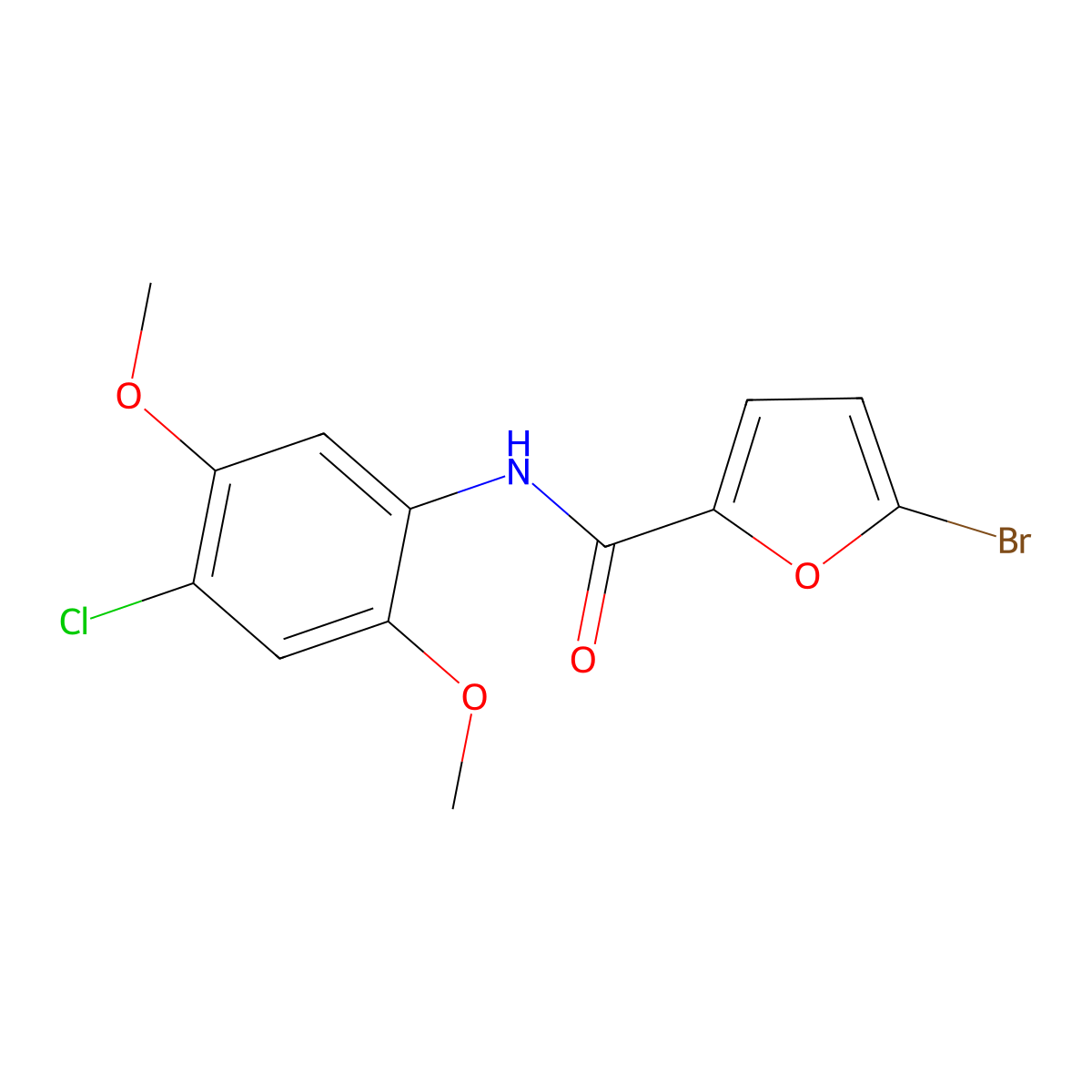 5-bromo-N-(4-chloro-2,5-dimethoxyphenyl)furan-2-carboxamide molecular structure, CAS 314022-39-4