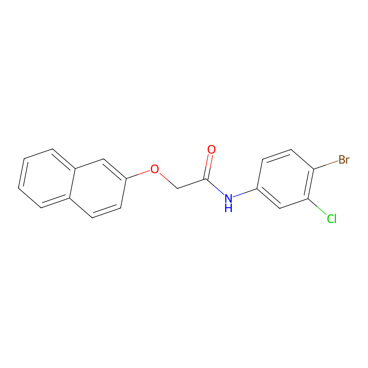 N-(4-bromo-3-chlorophenyl)-2-(2-naphthyloxy)acetamide molecular structure, CAS 314764-51-7