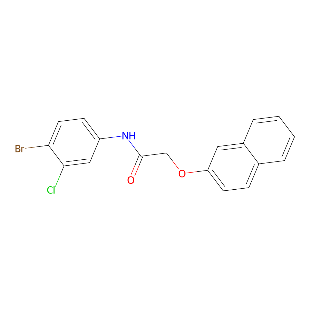 N-(4-bromo-3-chlorophenyl)-2-(2-naphthyloxy)acetamide molecular structure, CAS 314764-51-7