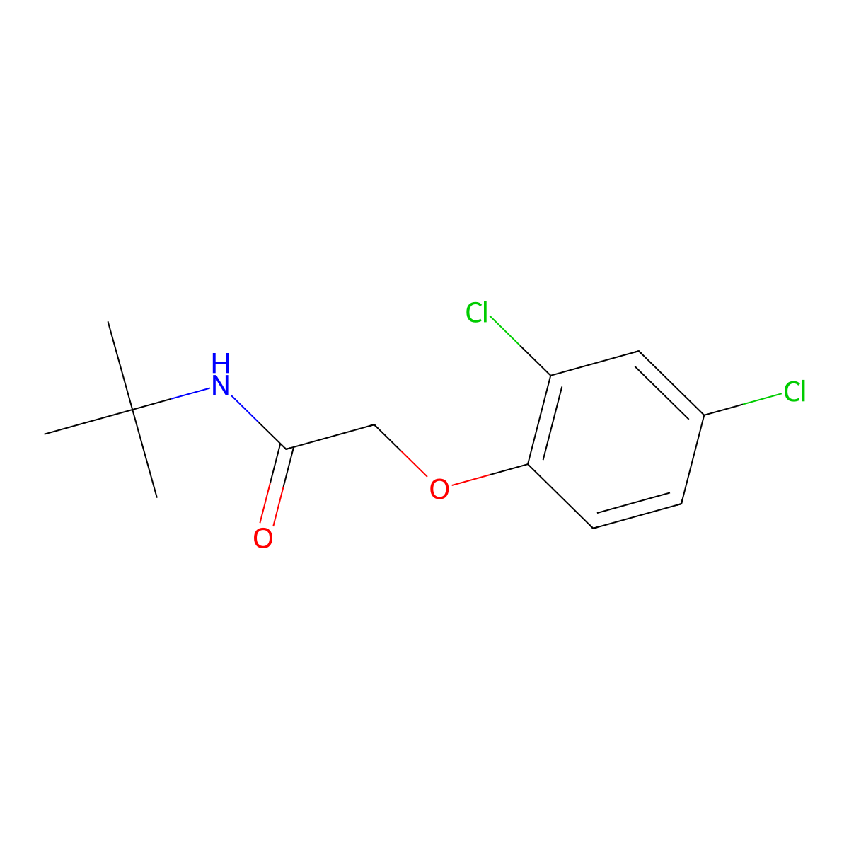 N-(tert-butyl)-2-(2,4-dichlorophenoxy)acetamide molecular structure, CAS 315248-98-7